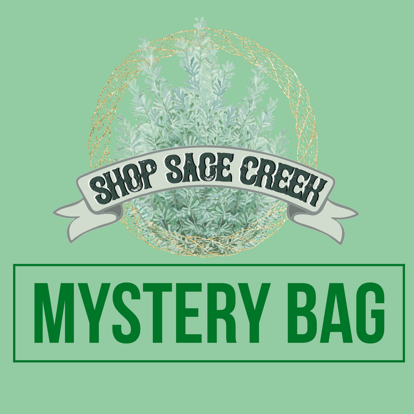 Mystery Bag!