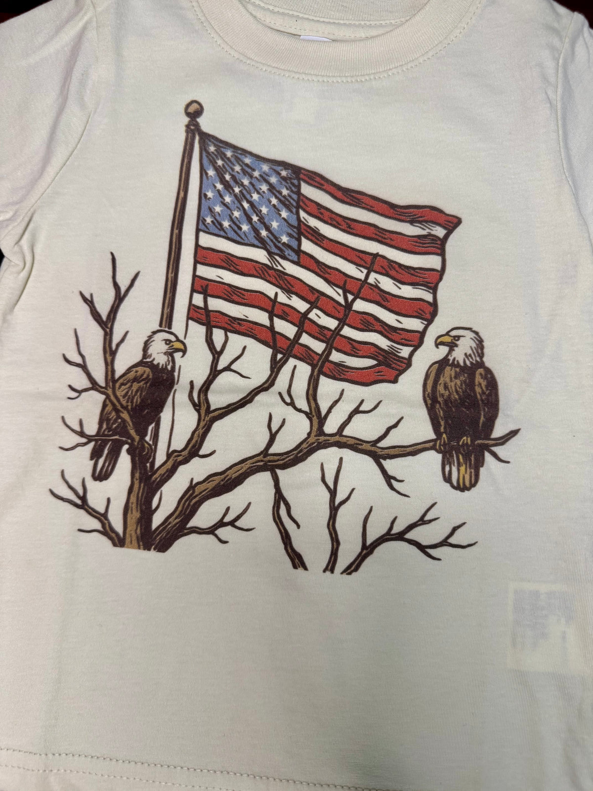 Bald Eagles in Tree With American Flag Tshirt