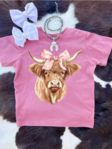 Pink Highland Cow